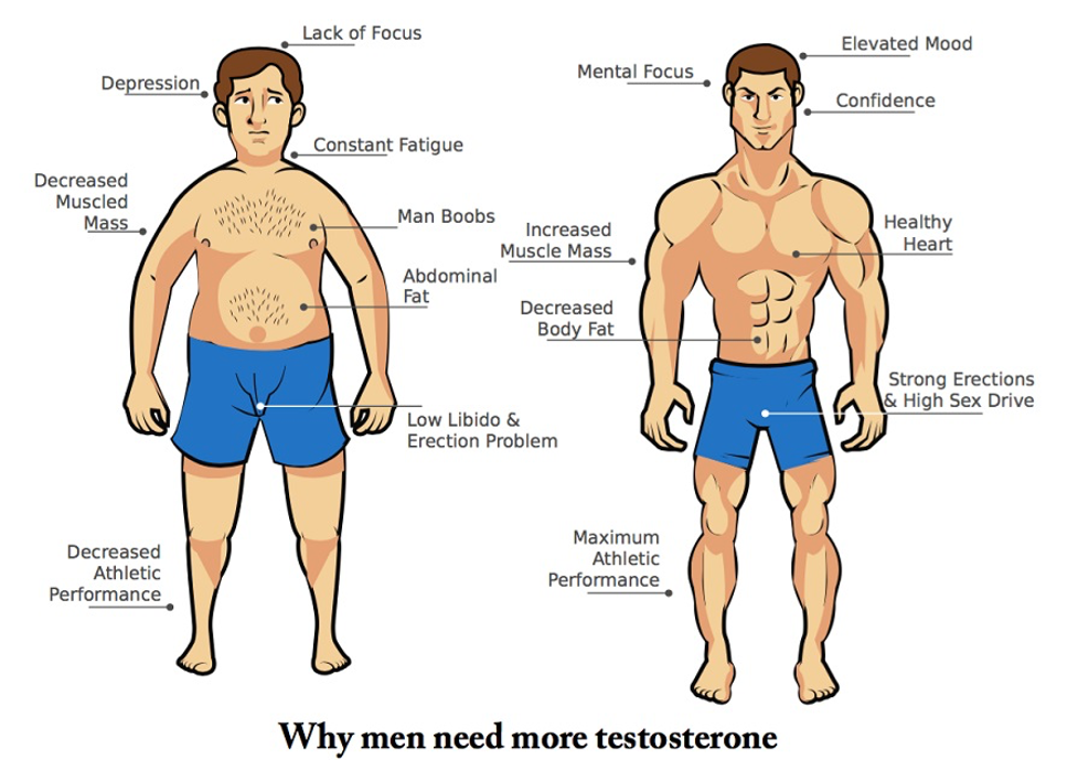 Picture5 Testosterone Replacement Testosterone Replacement,Expert Chiropractor in Hazlet,Pain Relief,Chiropractic Services in Monmouth County Airport Plaza Spine and Wellness