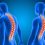 Posture and Spinal Health: Tips for a Pain-Free Life