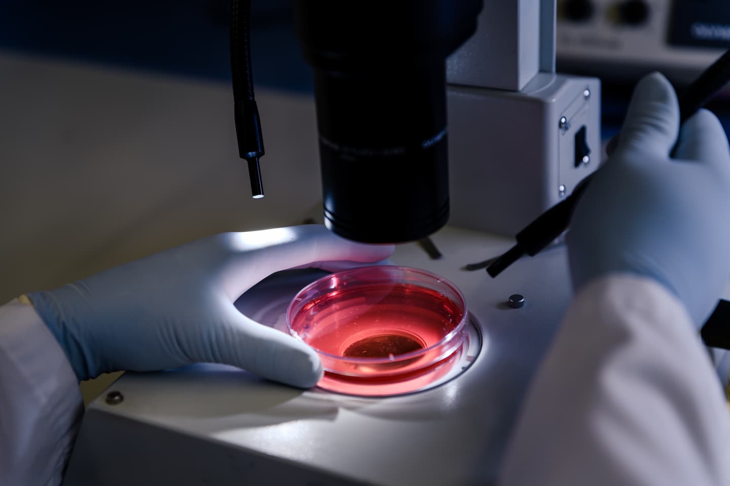 closeup shot person studying coronavirus particles with microscope 1 Umbilical Cord blood stem Umbilical Cord blood stem,Chiropractic Services in Hazlet,Advanced Pain Relief,Pain Treatment,Stem Cell Therapy Airport Plaza Spine and Wellness