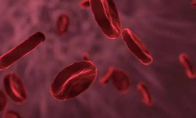 red blood cells 3188223 640 Platelet Rich Plasma Platelet Rich Plasma,Expert Chiropractor in Hazlet,Personalized Treatment,Non-surgical recovery,PRP therapy Airport Plaza Spine and Wellness